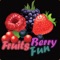 Fruits Berry Fun