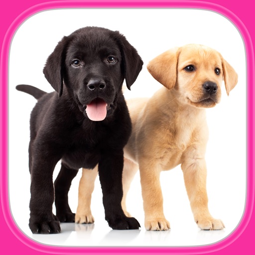 Cute Dogs & Puppies Puzzles - Logic Game for Kids icon