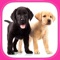 Cute Dogs & Puppies Puzzles - Logic Game for Kids