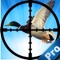 Animal Duck Pro: The best game of season