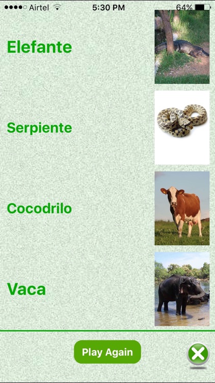 Flashcards Spanish Lesson screenshot-4