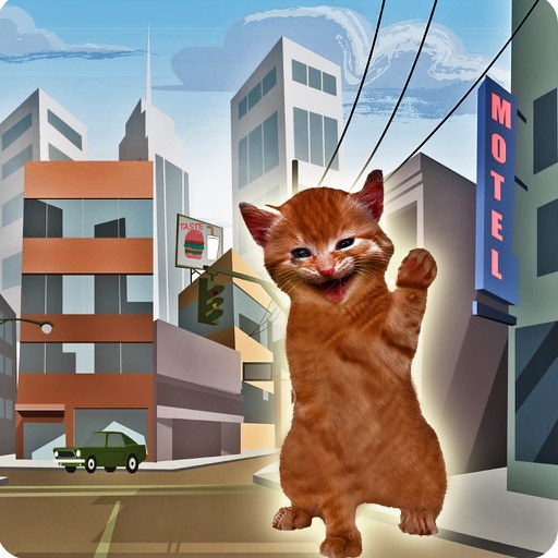 Cute Kitten Cat Pet Simulator-A Mission Game 2017 iOS App