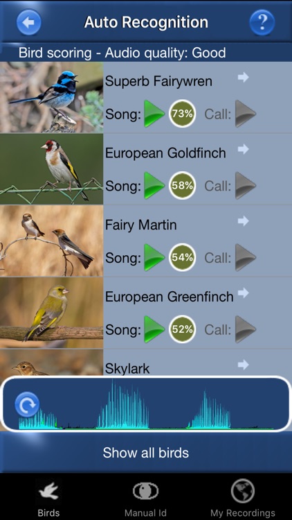 the-best-bird-identification-apps