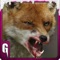 Be a Angry Snow Fox and attack Animals in this Wild Snow Fox Simulator 3D game