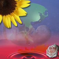 Love∞Earth sur PC