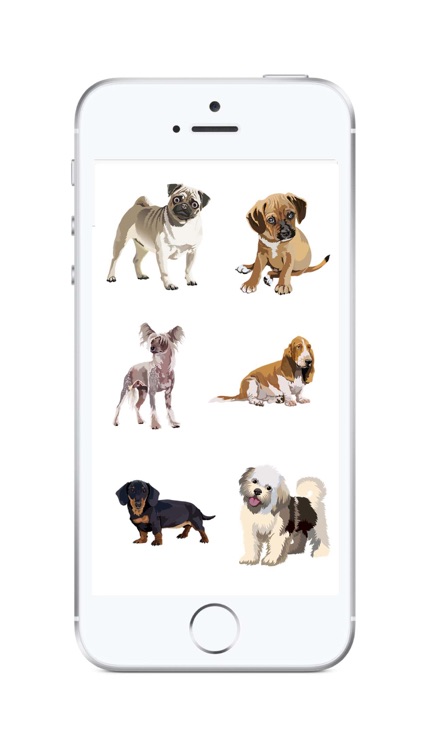 Realistic Dog Art - Dogs, Terrier, Black Lab, Pug