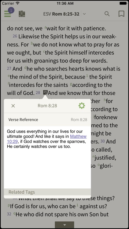 NKJV Bible by Olive Tree