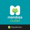 Ciudad de Mendoza - Expedientes