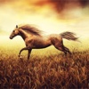 Spirit Horses Wallpapers HD-Art Pictures