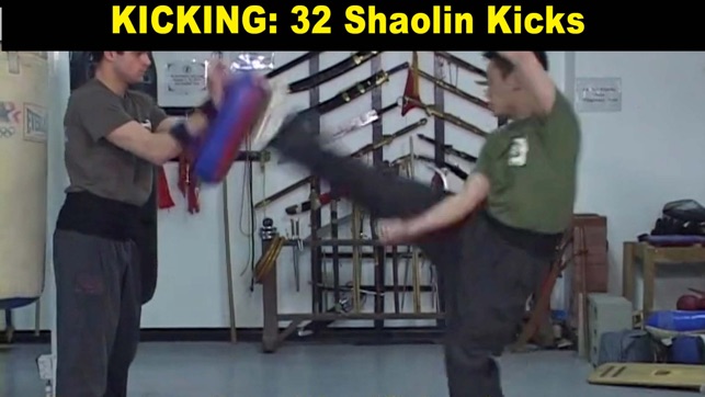 Shaolin Kung Fu Fundamental(圖5)-速報App