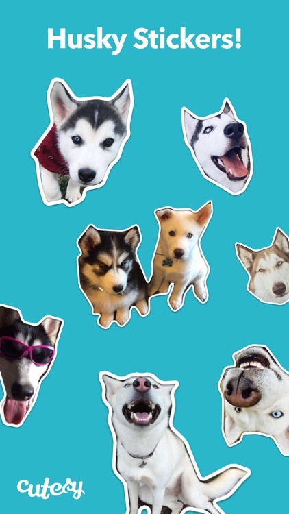 Husky Stickers by Cutesy