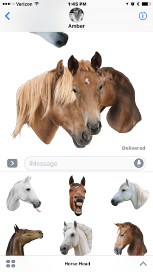 Horse Head(圖3)-速報App