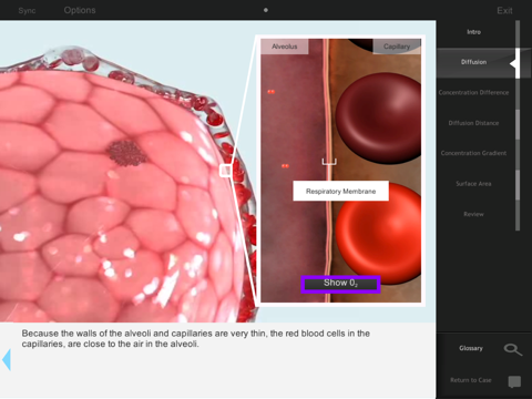 IC Diffusion screenshot 3