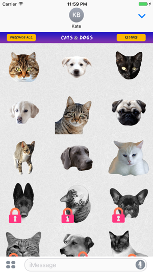 Cats and Dogs Stickers for Messages(圖2)-速報App