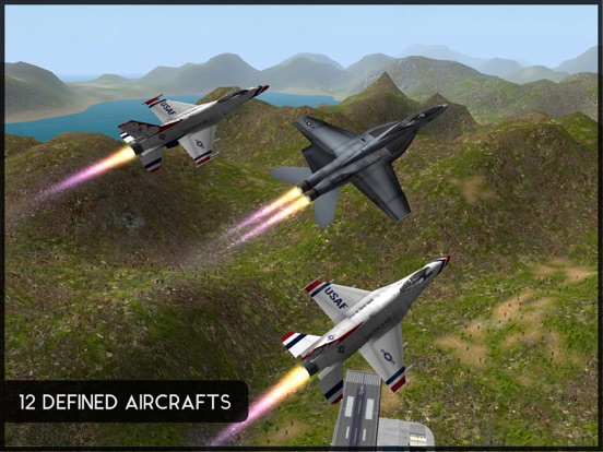 Avon Flight Simulator screenshot