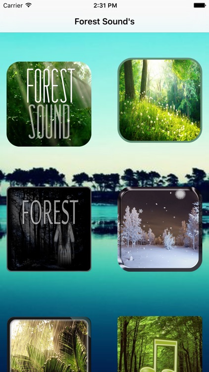 Forest Sounds for Sleep - Ambient Forest Sounds