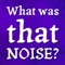 "What Was That Noise