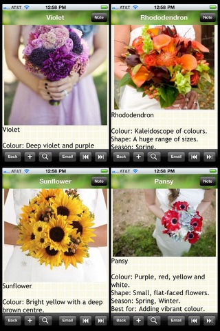 120 Wedding Flower List screenshot 2