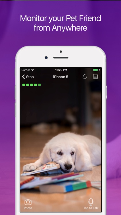 Pet Monitor: Dog and Puppy Camera screenshot-0