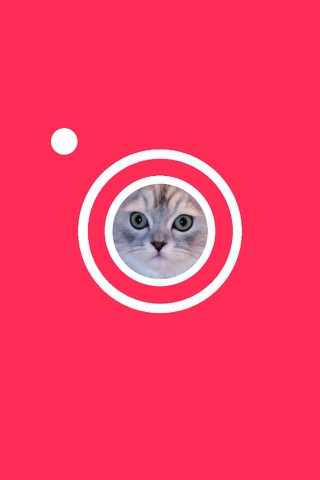 Talking Cat - Make your Cat Talk! screenshot 3