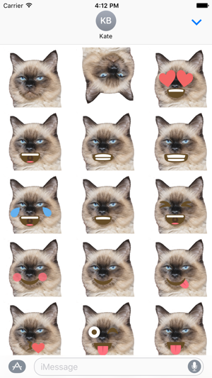 Cat Emoji Sticker Pack(圖2)-速報App