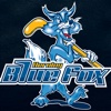 Herning Blue Fox