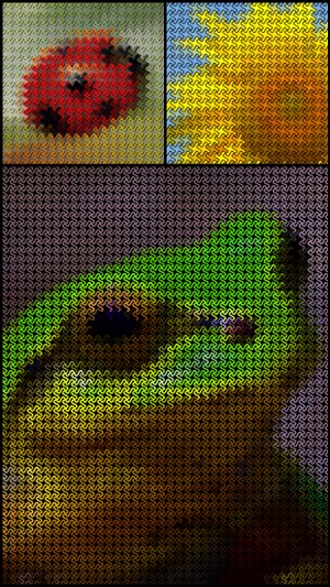 GridArtImager - Mosaic Art Generator(圖4)-速報App