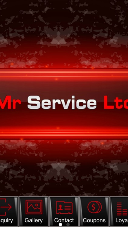 Mr Service