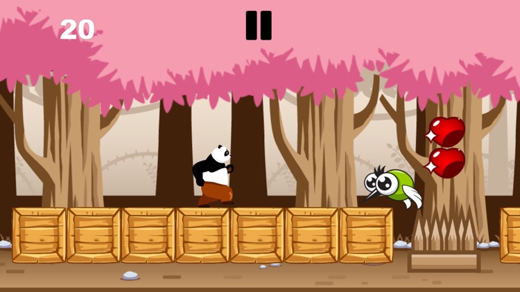 Panda Forest Run