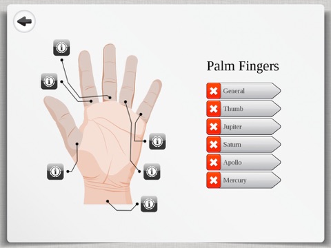 Palm Reading Premium HD - palmistry & chirology screenshot 3