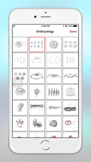 Anatomy - 1K+ Illustrations(圖4)-速報App