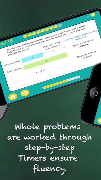 Math Word Problems: School Ed. by Janine Toole