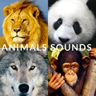 Top 50 Entertainment Apps Like Animals Songs - Speaking with your animal, fun app for adults and kids - Best Alternatives