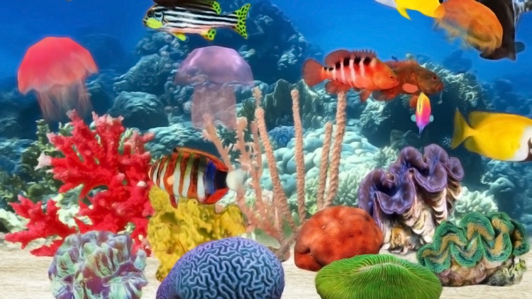 Fish Farm