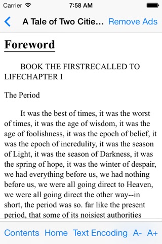 iRead EPUB screenshot 2