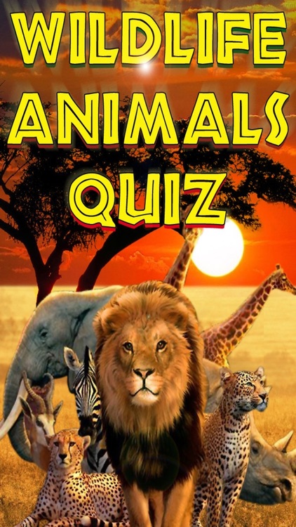 Wild Animals Quiz - Educational Creatures Trivia