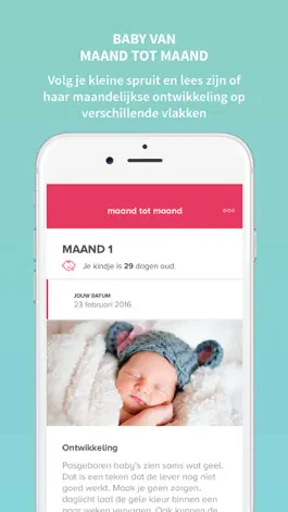 Game screenshot Zwangerschap & baby app apk