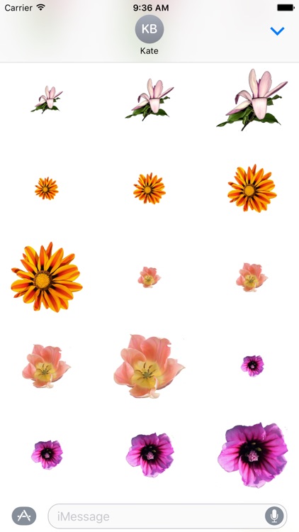 Flower Stickers 花貼紙 screenshot-3