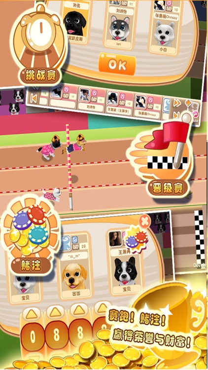 SunnyPuppies screenshot-4