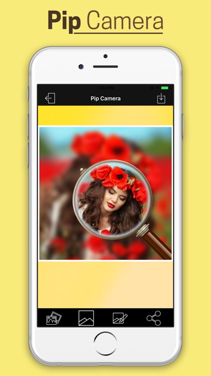 Pip Photo Effect With Blur Background