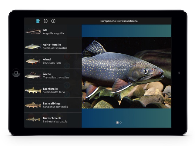 Europäische Süßwasserfische(圖3)-速報App
