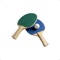 Icon Table Tennis Counter