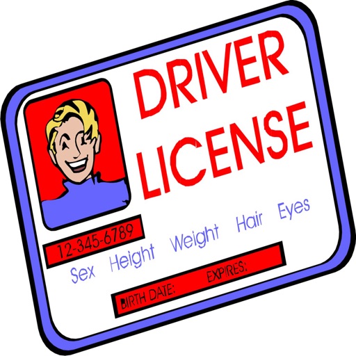US Driving License for Beginners Tips-Video Guide