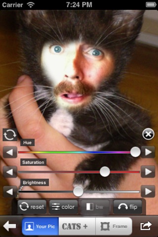 Cat Me Pro screenshot 3