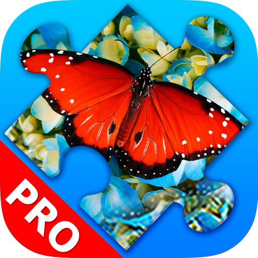 Butterfly Jigsaw Puzzles. Premium Icon