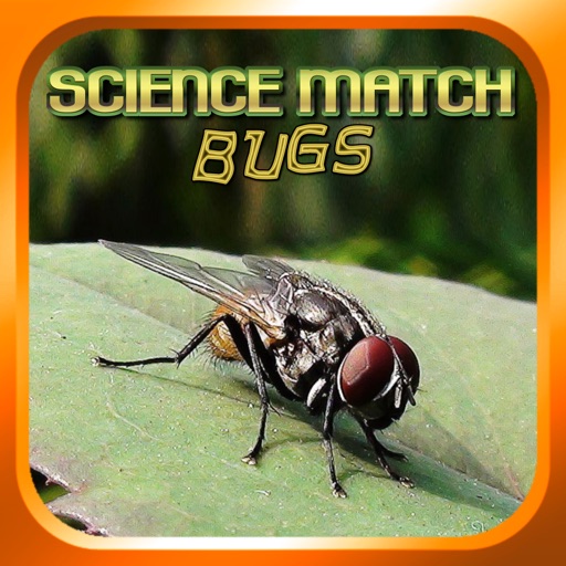 Science Match Bugs Icon