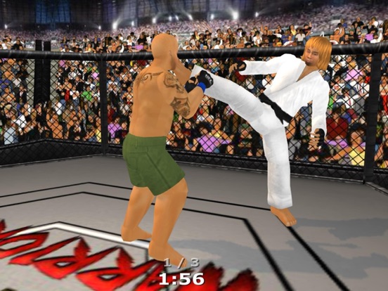 Скачать игру Weekend Warriors MMA