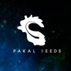 Pakal Seeds