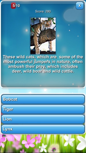 Big Brain Quiz ANIMALS(圖2)-速報App