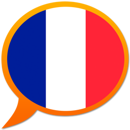 Dictionnaire Français Multilingue